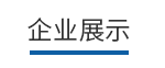 企業(yè)展示
